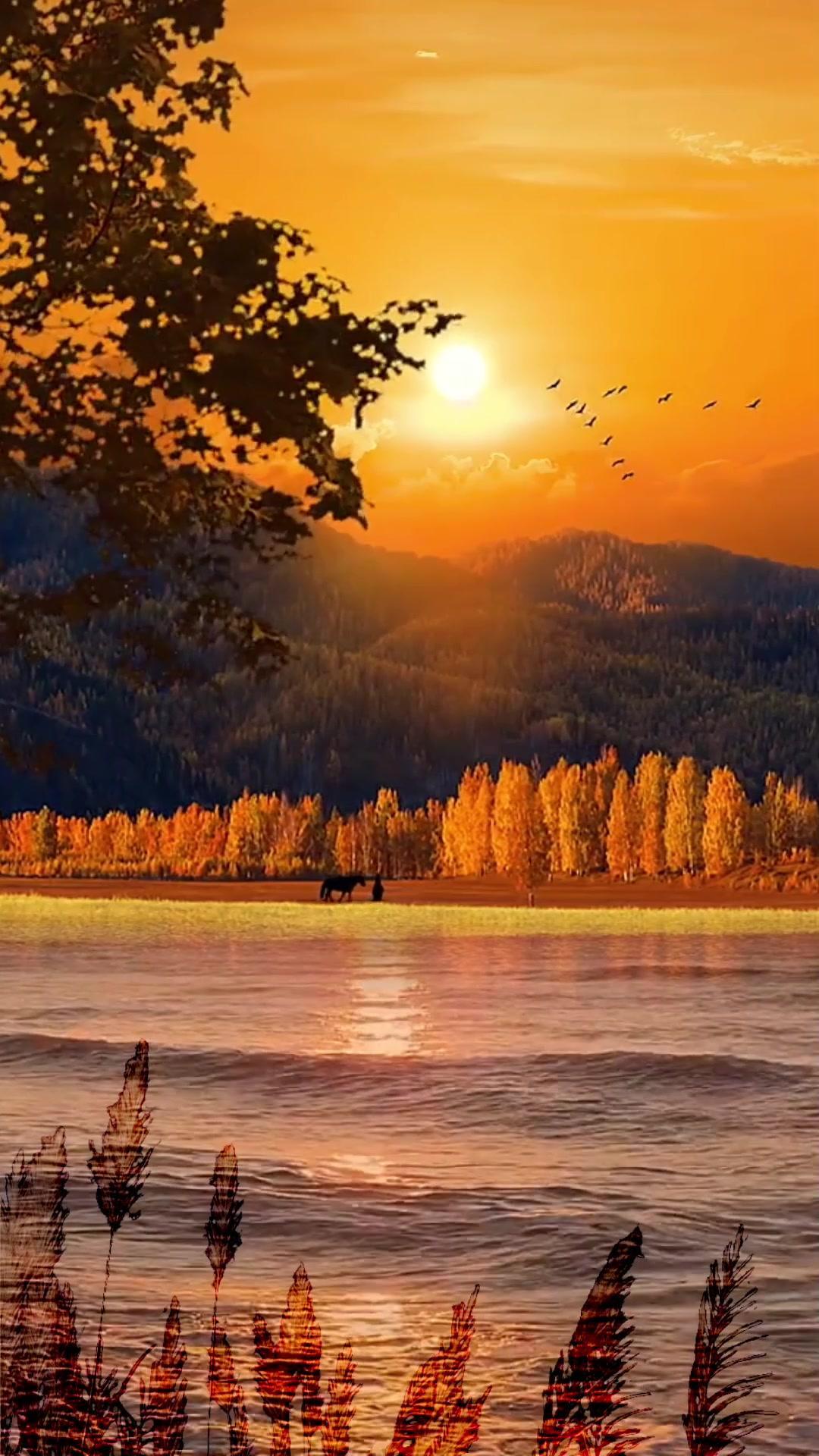 剪映视频制作 治愈系风景