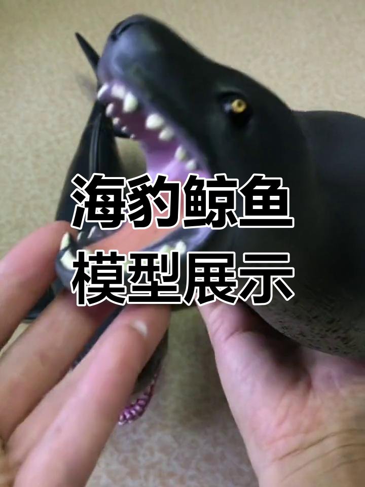 巨齿鲨的可怕模型