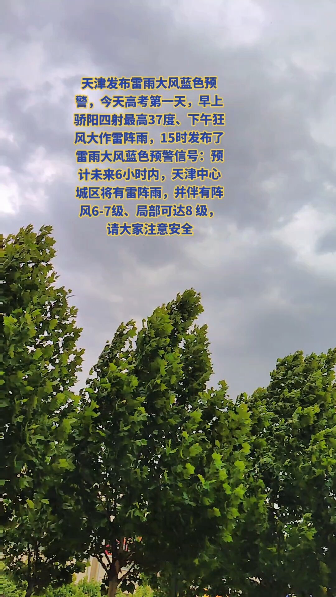天津分布雷雨大风蓝色预警今天高考第一天早上骄阳四射最高37度下午