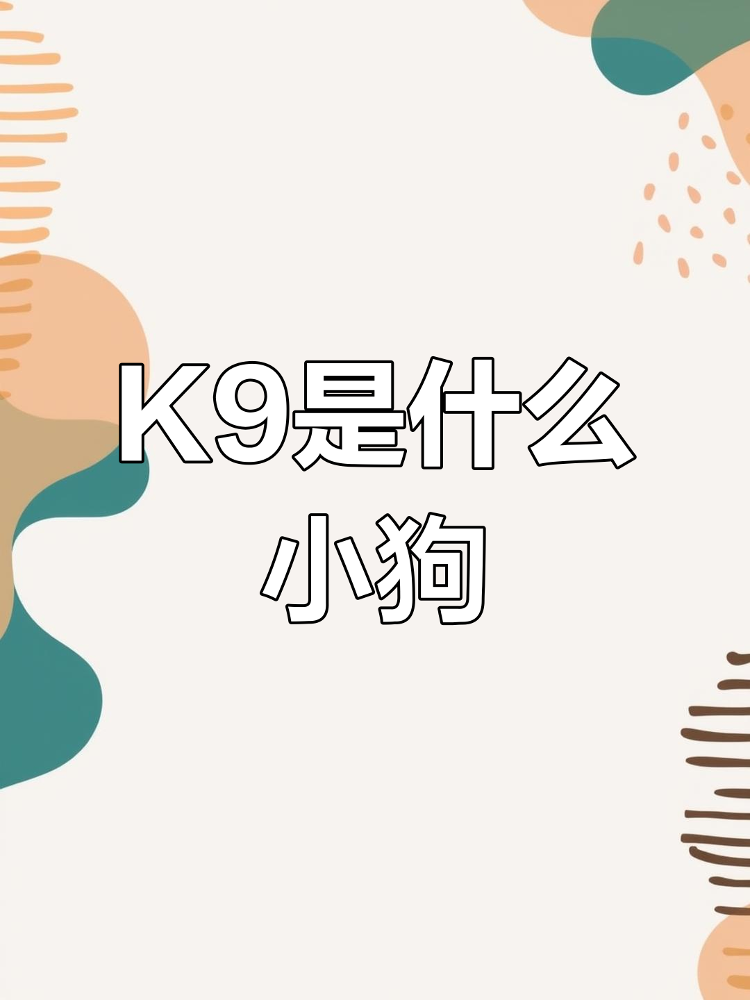 你问k9是什么意思?我告诉你它是可爱的小狗!
