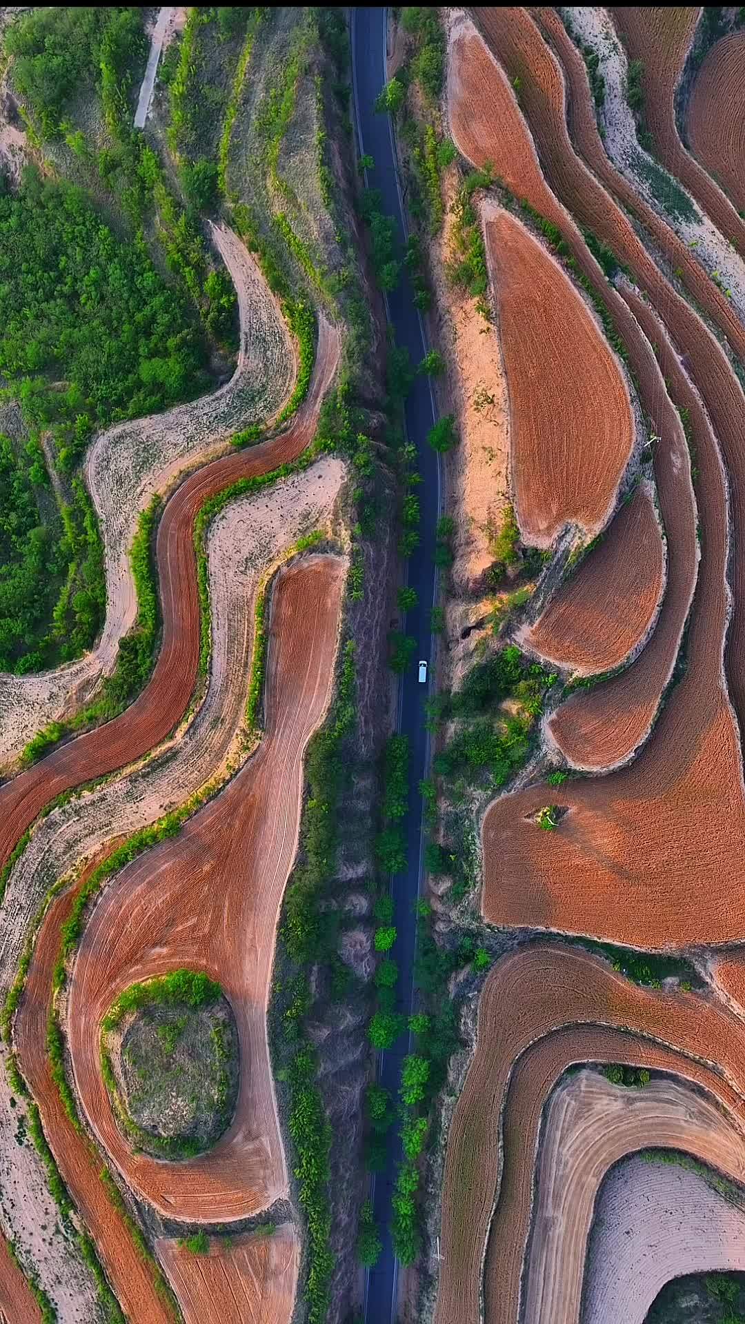 家乡美:这里是山西平陆209国道,夕阳西下麦黄时节