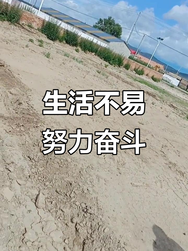 男人拼搏奋斗的图片(男人拼搏奋斗的图片 正能量)