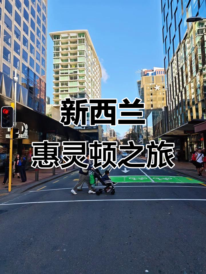 探访新西兰首都惠灵顿,感受独特魅力