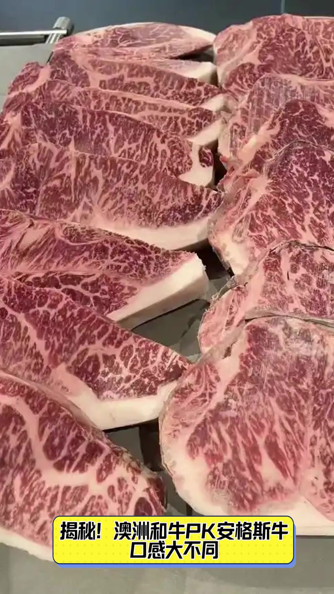 揭秘澳洲和牛pk安格斯牛口感大不同