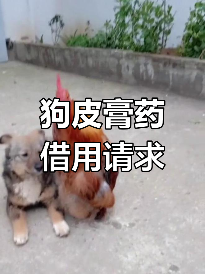 腿疼胳膊痛,借我狗皮膏药试试?