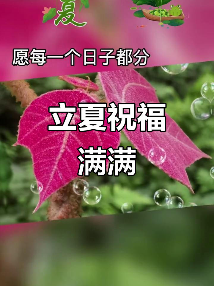 立夏到,愿你健康快乐每一天