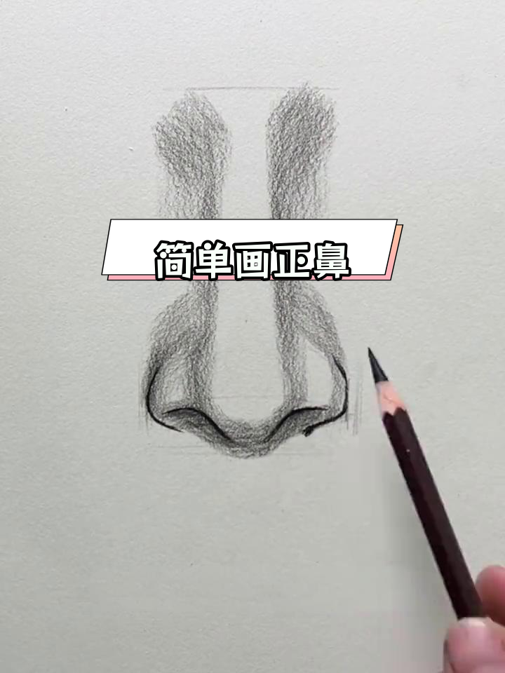 素描人像正面鼻子绘制技巧