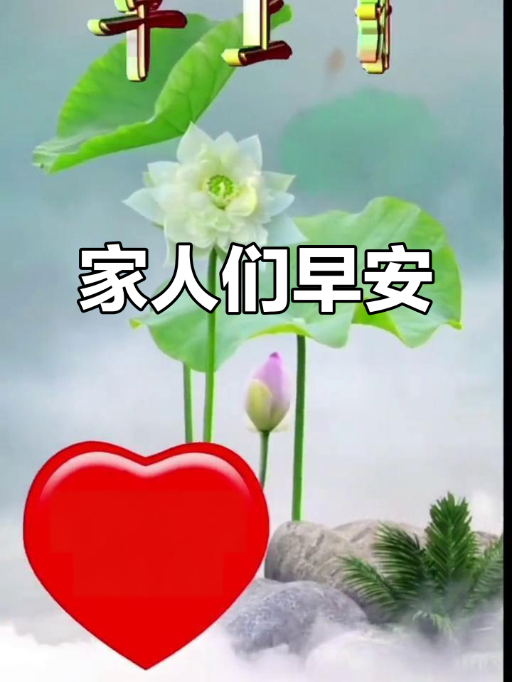 早上好,家人们!新的一天开始了