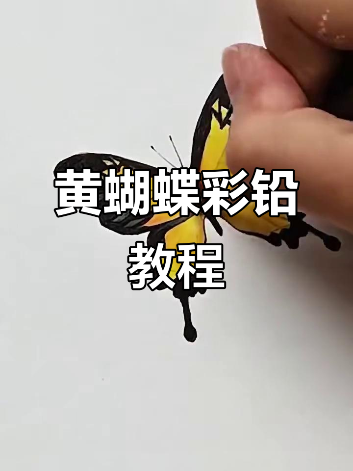 轻松画出立体黄蝴蝶,步骤简单又有趣