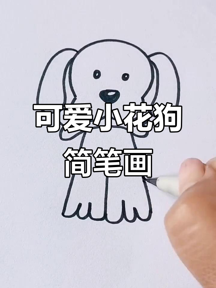 小花狗摇尾巴,想和你握握手