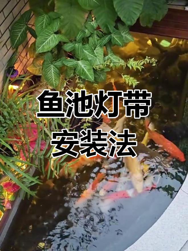 鱼池防水灯带安装技巧:实验演示