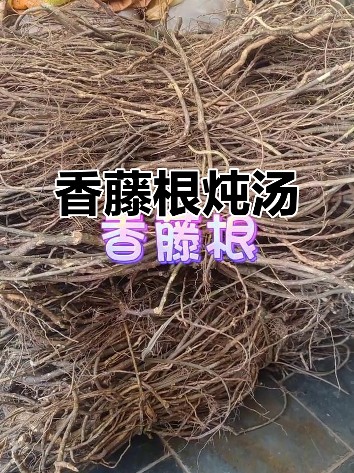 香藤根炖汤,香气扑鼻让人无法抗拒