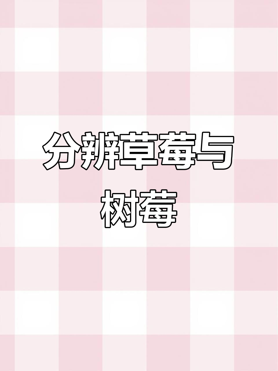 3秒教你轻松辨别草莓与树莓,超实用!