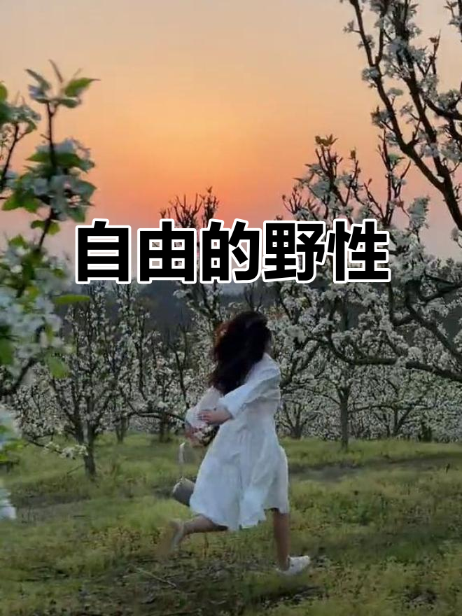 我向往自由,不愿被束缚,一生追求自在洒脱