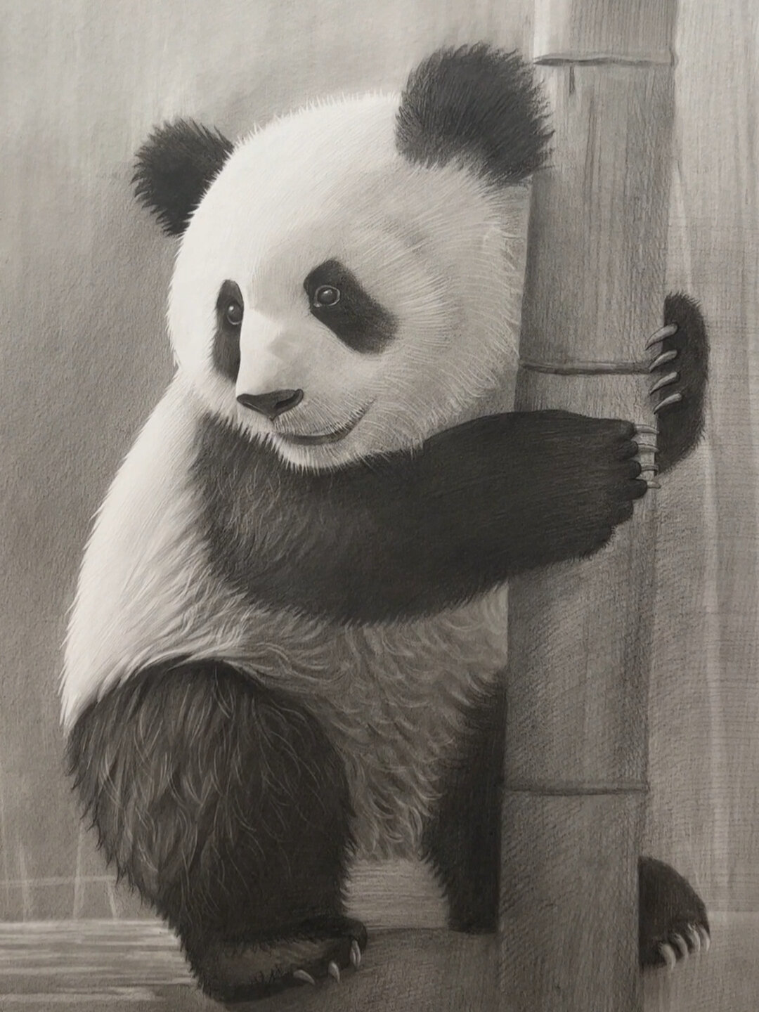 动物素描大熊猫