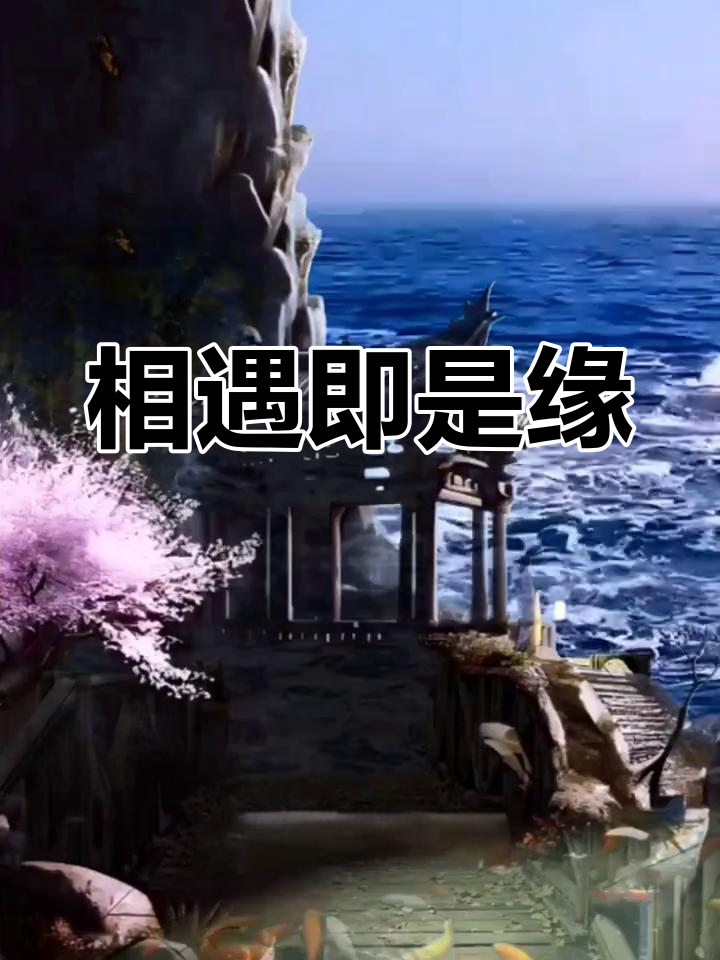 人海中的每一次相遇,都是命中注定的缘分