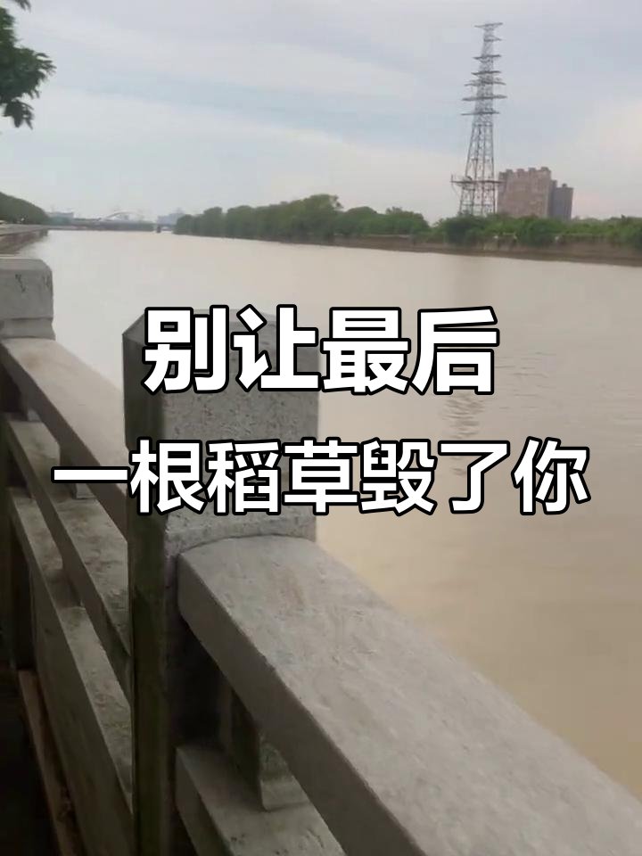 人生中的那些"最后一根稻草",其实只是压垮骆驼的借口