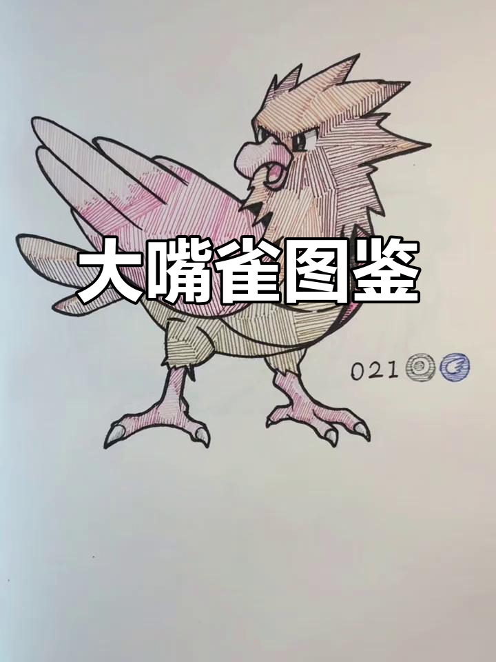 大嘴雀的宝可梦图鉴与手绘展示