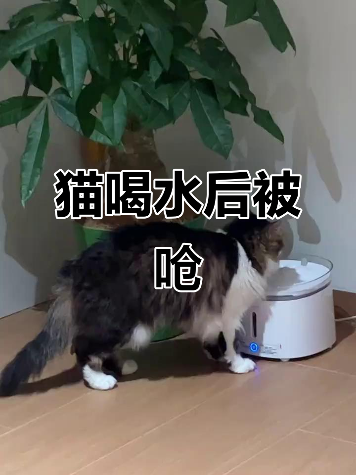 为什么喝水老是被呛到