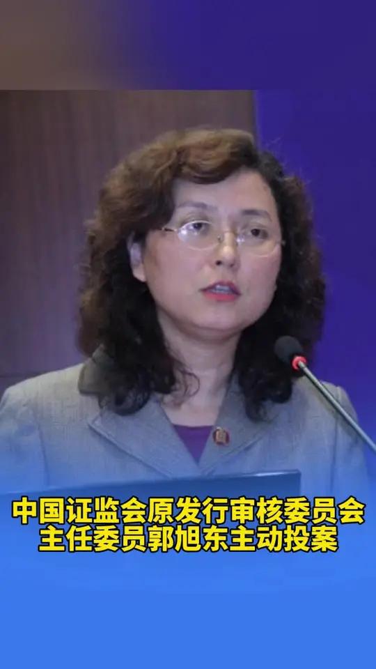 中国证监会原发行审核委员会主任委员郭旭东主动投案