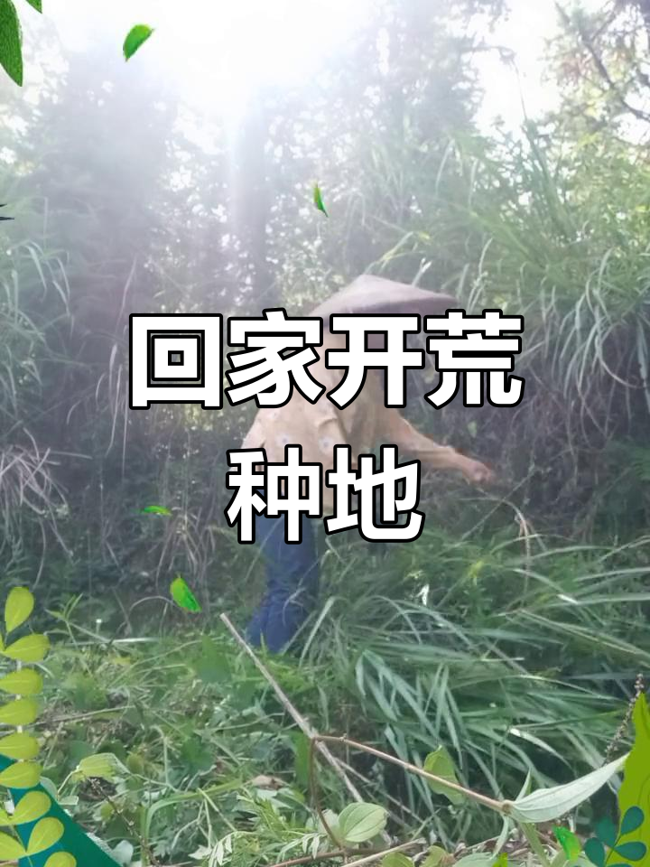 混不下去了,回家种地也能活得自在
