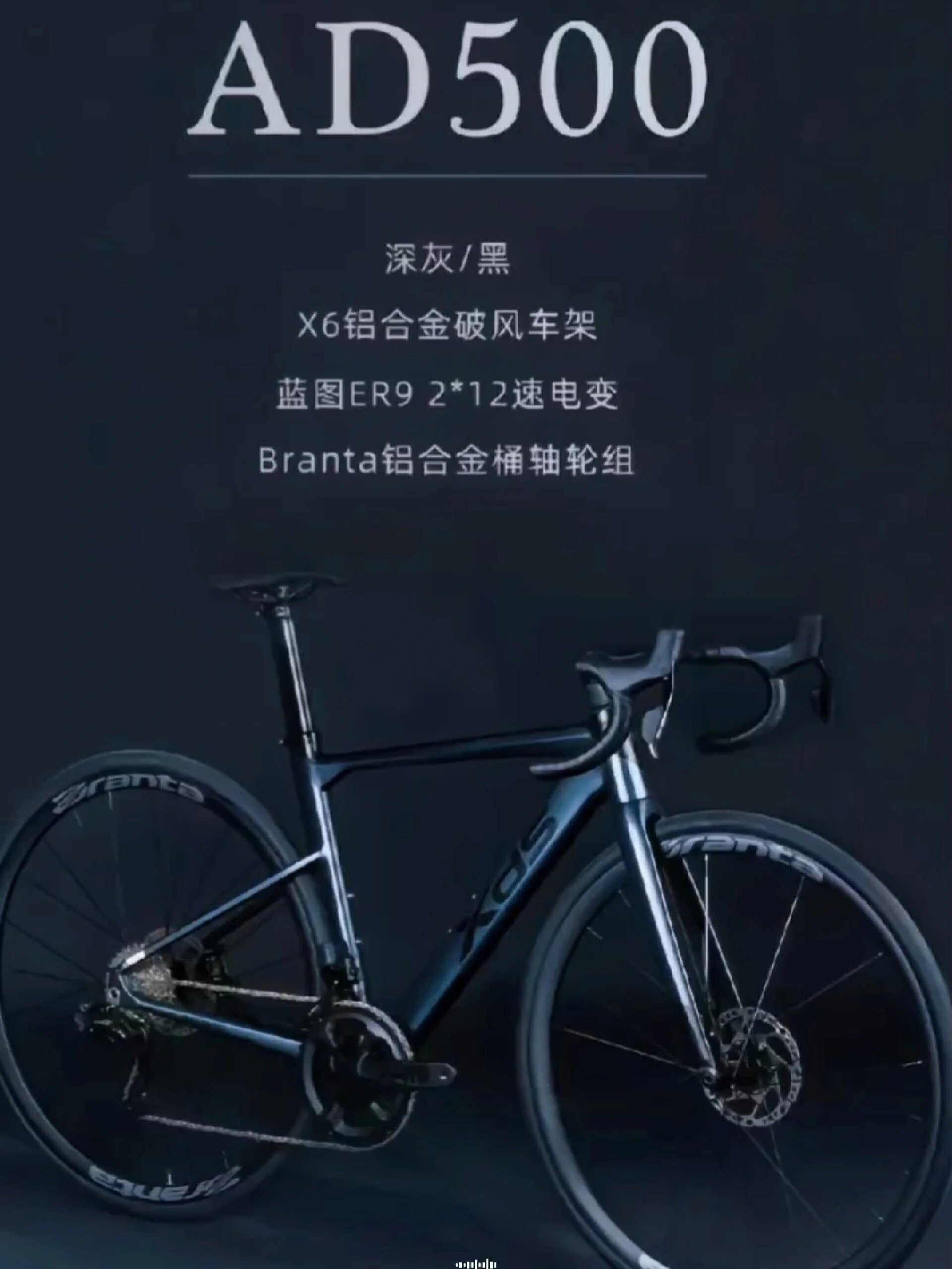 喜德盛ad500来啦七千元以内的电变公路