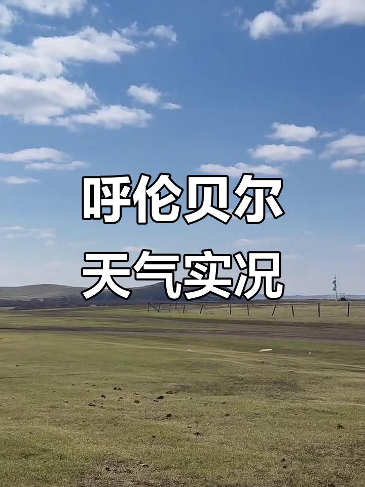 呼伦贝尔天气预报15天查询在线 呼伦贝尔天气预报15天查询在线