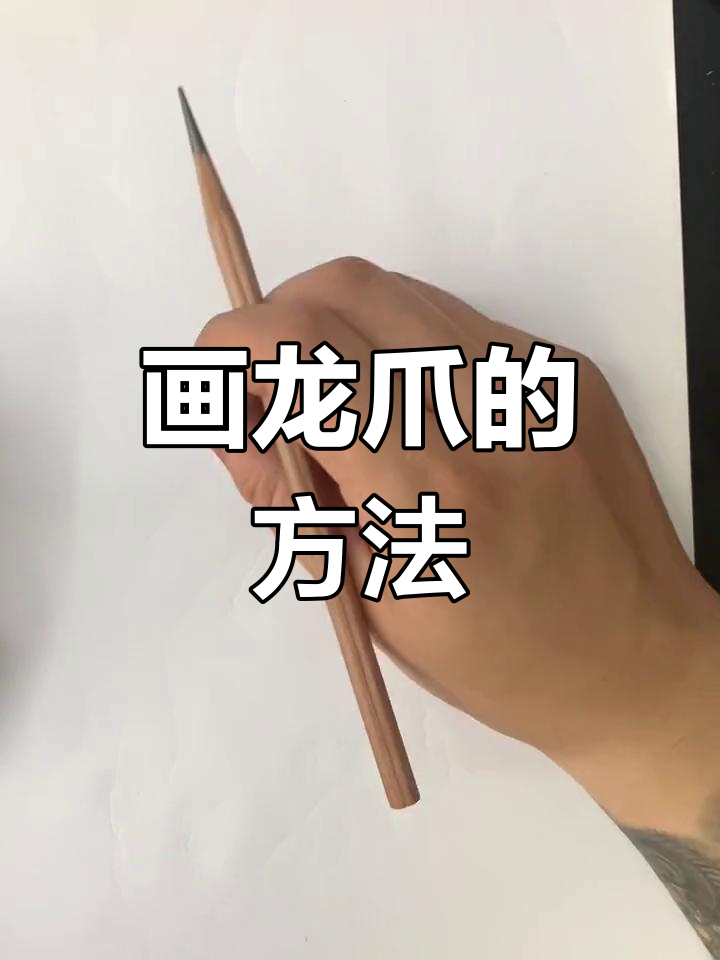 龙爪结构解析与绘制技巧