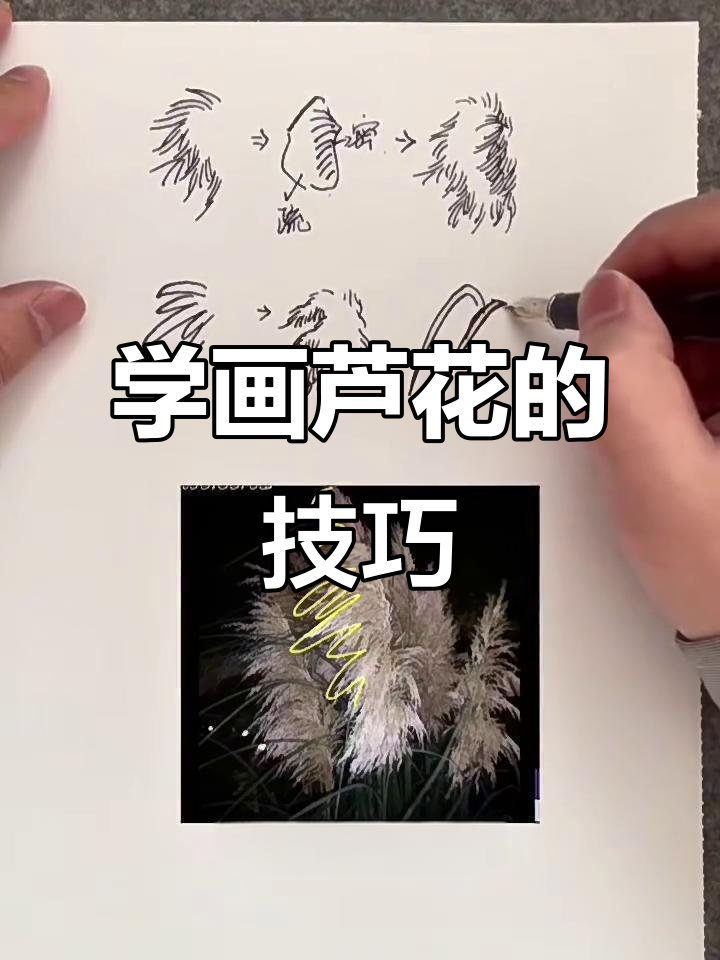 芦花画法全解析:从飘絮到疏密对比