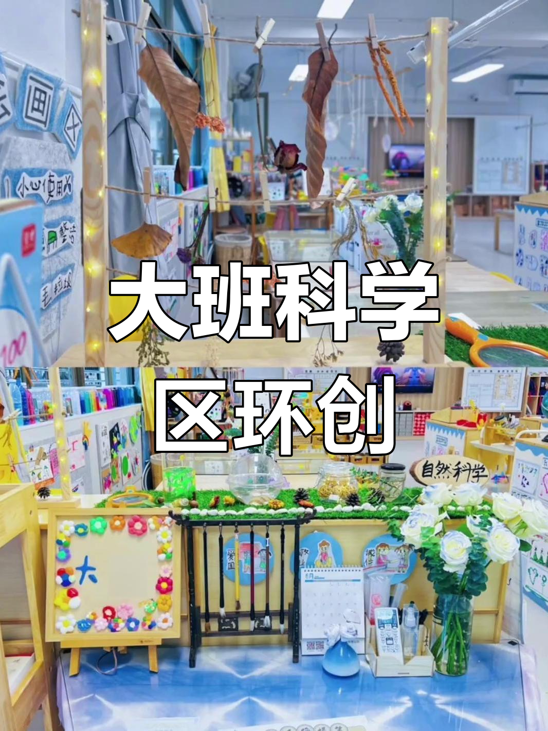幼儿园大班科学区环创,创意十足超好看