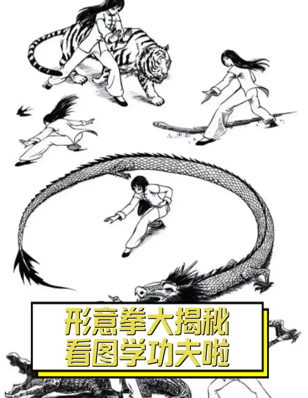 形意拳大揭秘,看图学功夫啦