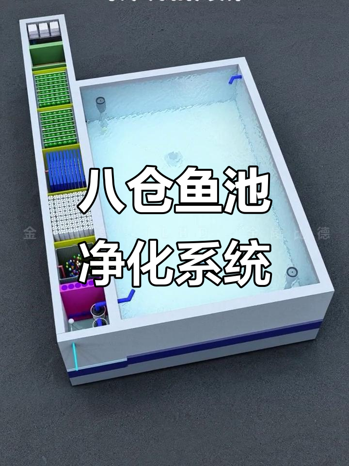 鱼池过滤系统升级,八仓设计让水质更稳定