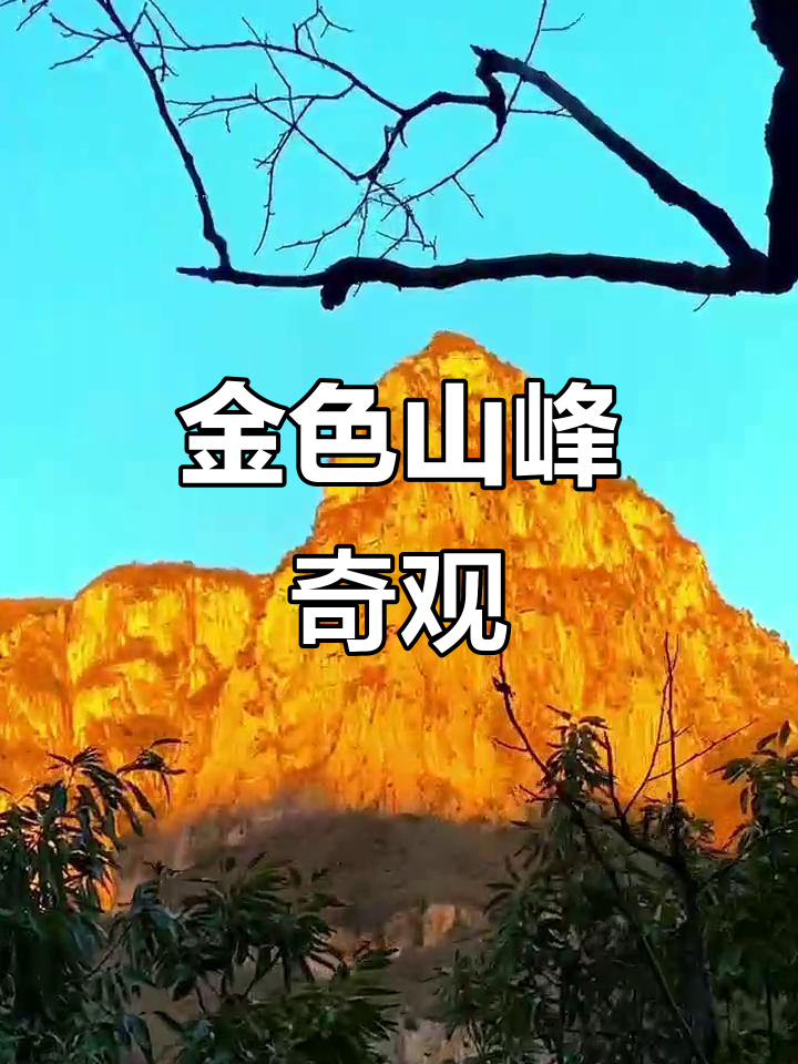 云台山日照金山,金色光芒洒满峰顶,美得令人陶醉!