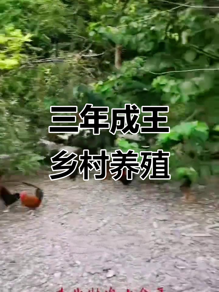 创业养殖什么最赚钱(养殖业什么最赚钱,农村创业项目推荐)