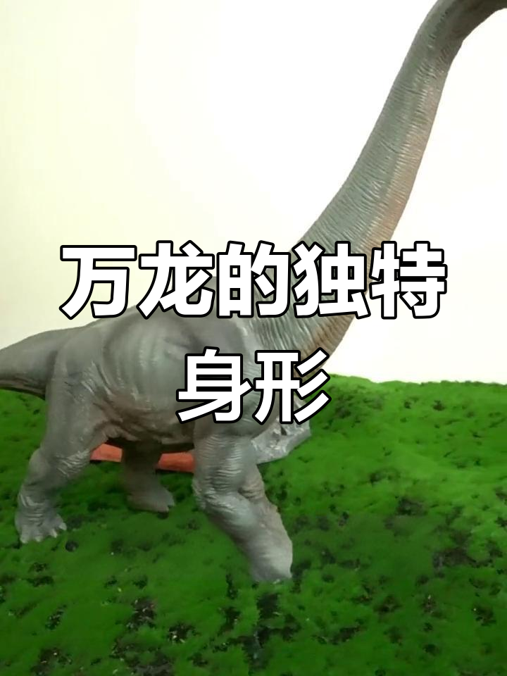 揭秘万龙:长颈鹿般的恐龙,如何用超长脖子吃到高处的树叶