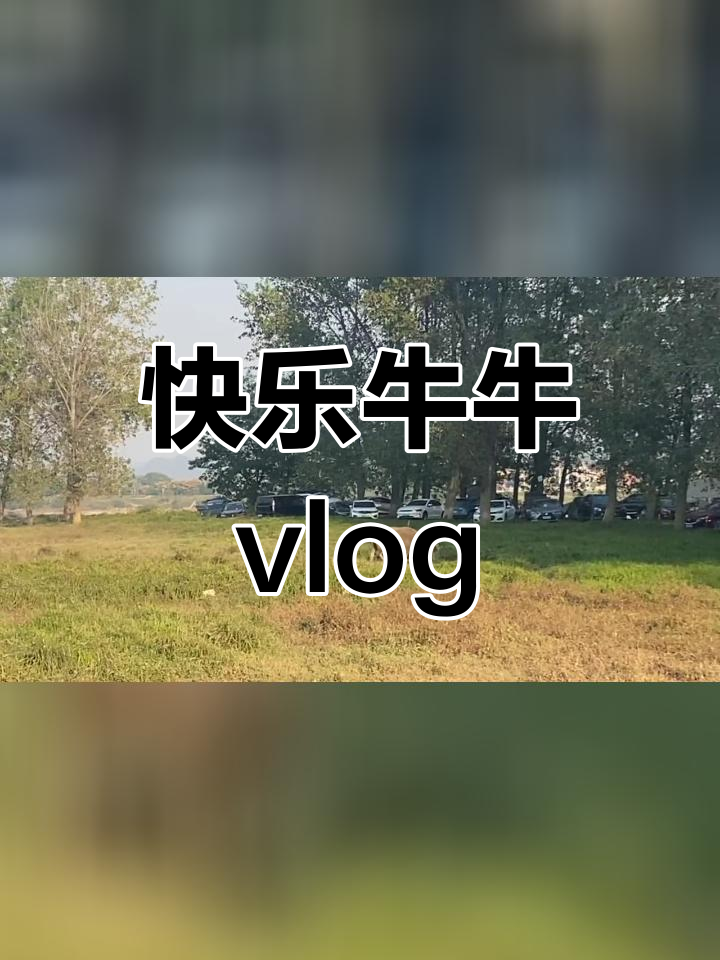 快乐牛牛 终极版图片