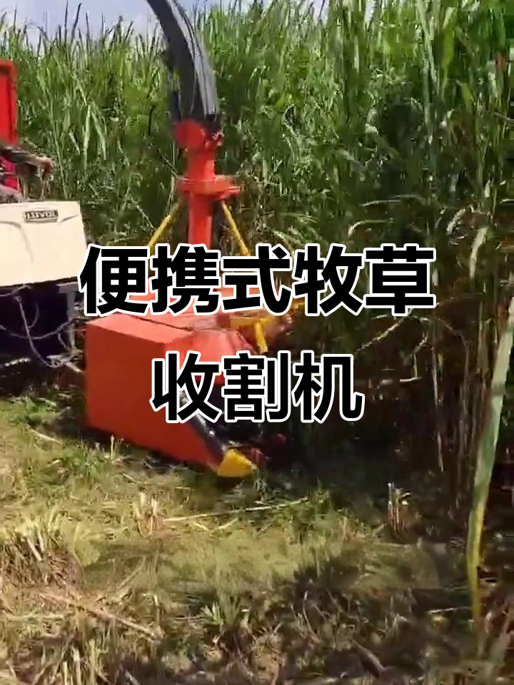 小型牧草收割机,轻松搞定皇竹草