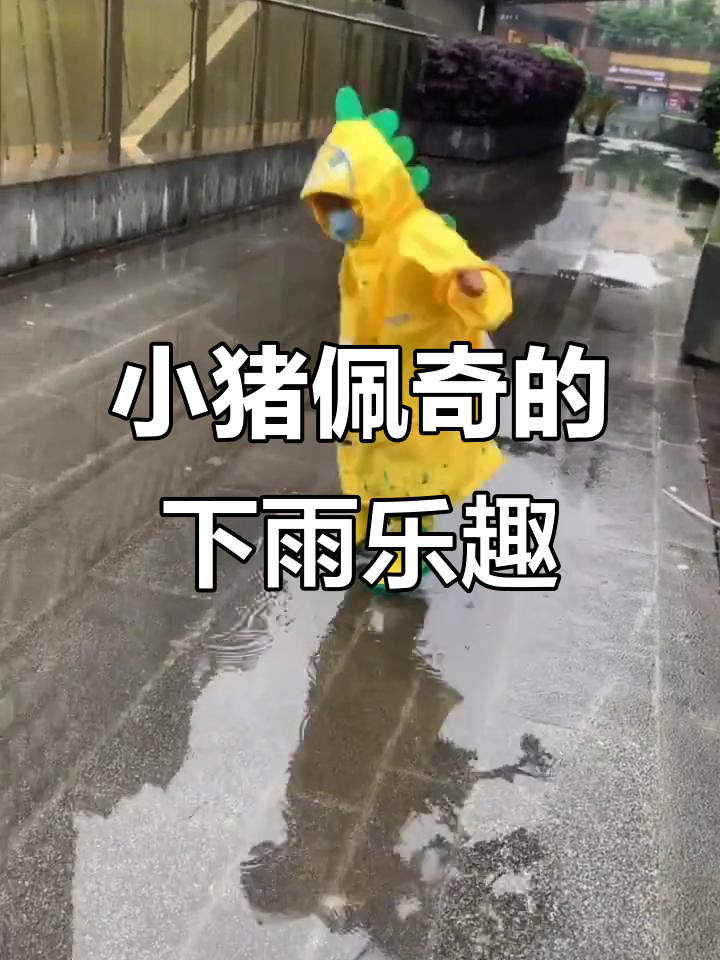 雨天里的快乐小猪佩奇,踩水坑也能这么有趣!