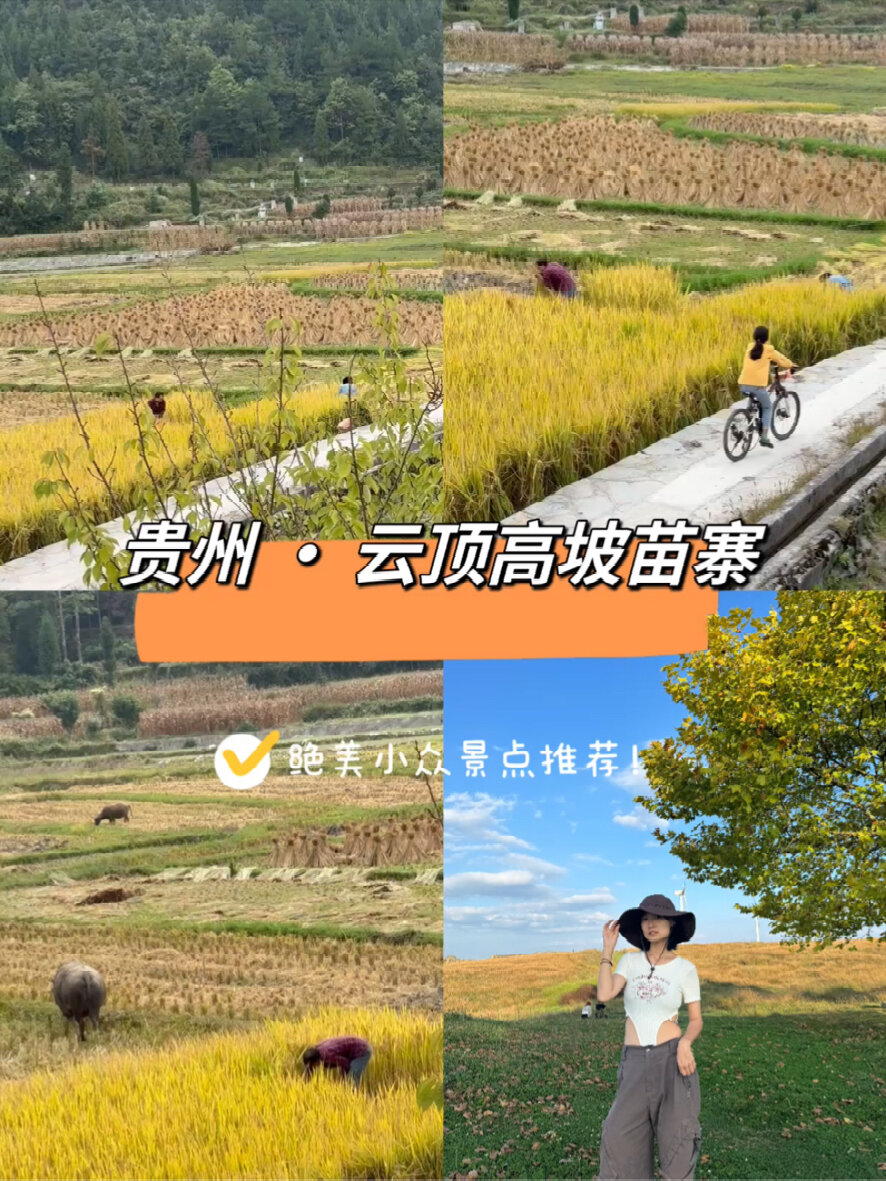 贵州宝藏小众景点|人少出片的云顶高坡苗寨