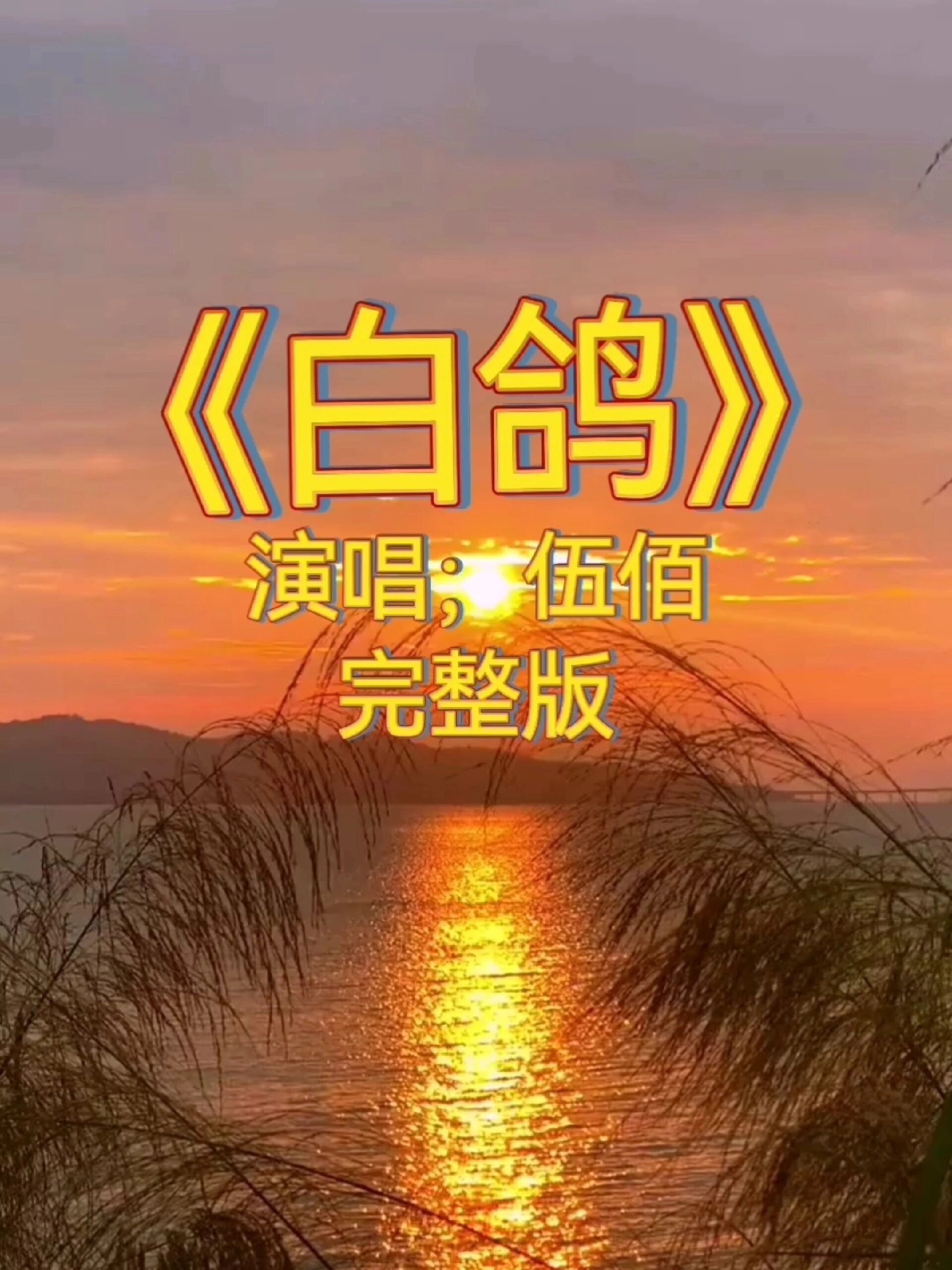 伍佰《白鸽》完整版