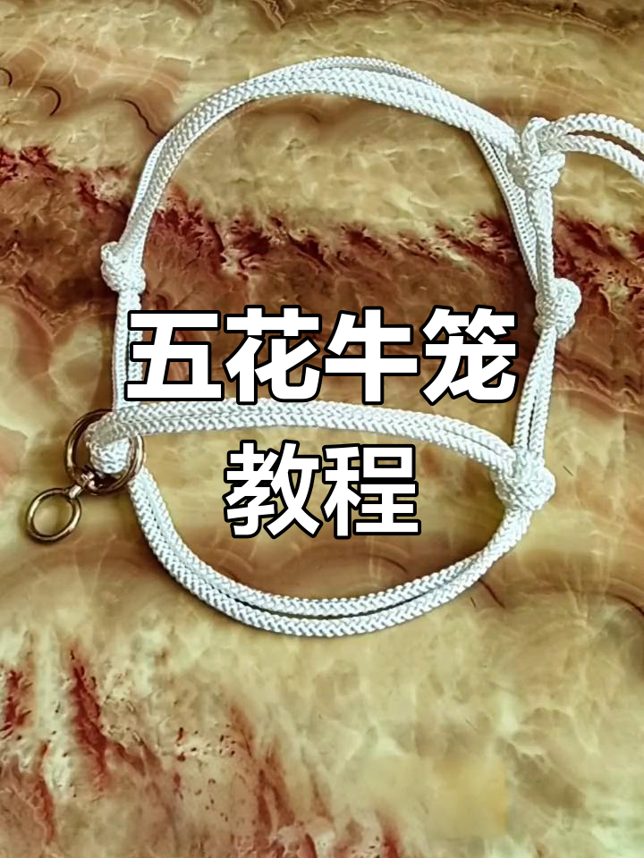 传统手工艺:五花牛笼制作技巧,即将失传的畜牧业技能