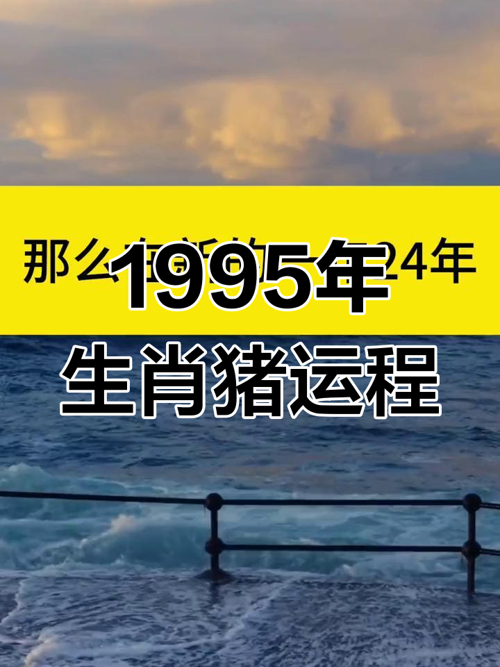 生肖属猪一生的运势(属猪一生运程)