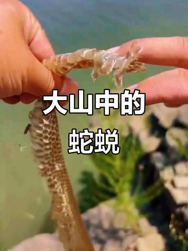 660_880竖版 竖屏gif 动态图 动图