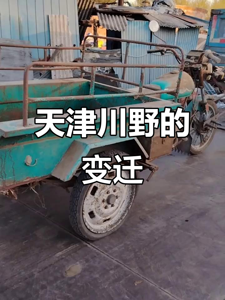 天津川野20年,古董三轮车逐渐消失