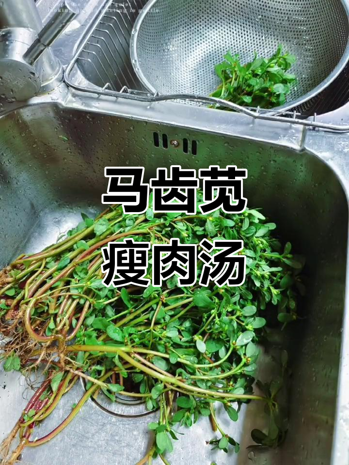 晚餐:马齿苋瘦肉汤配饺子,简单又美味