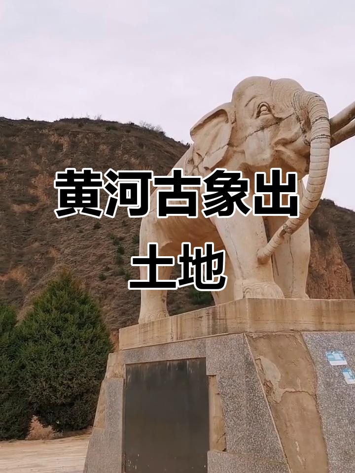 黄河古象遗址,1973年发现于甘肃合水县