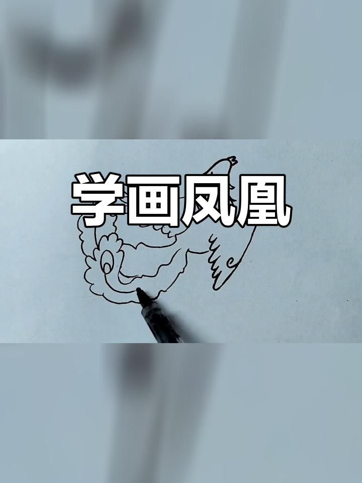 轻松学画凤凰简笔画