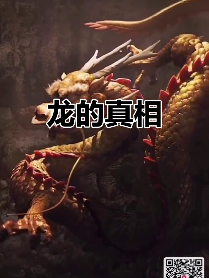 龙,真的存在吗?揭秘神秘动物的真实面目