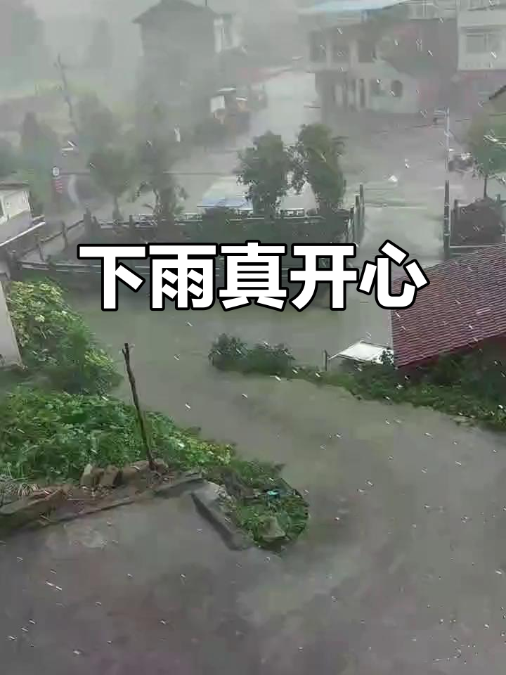 终于下雨了,心情大好!