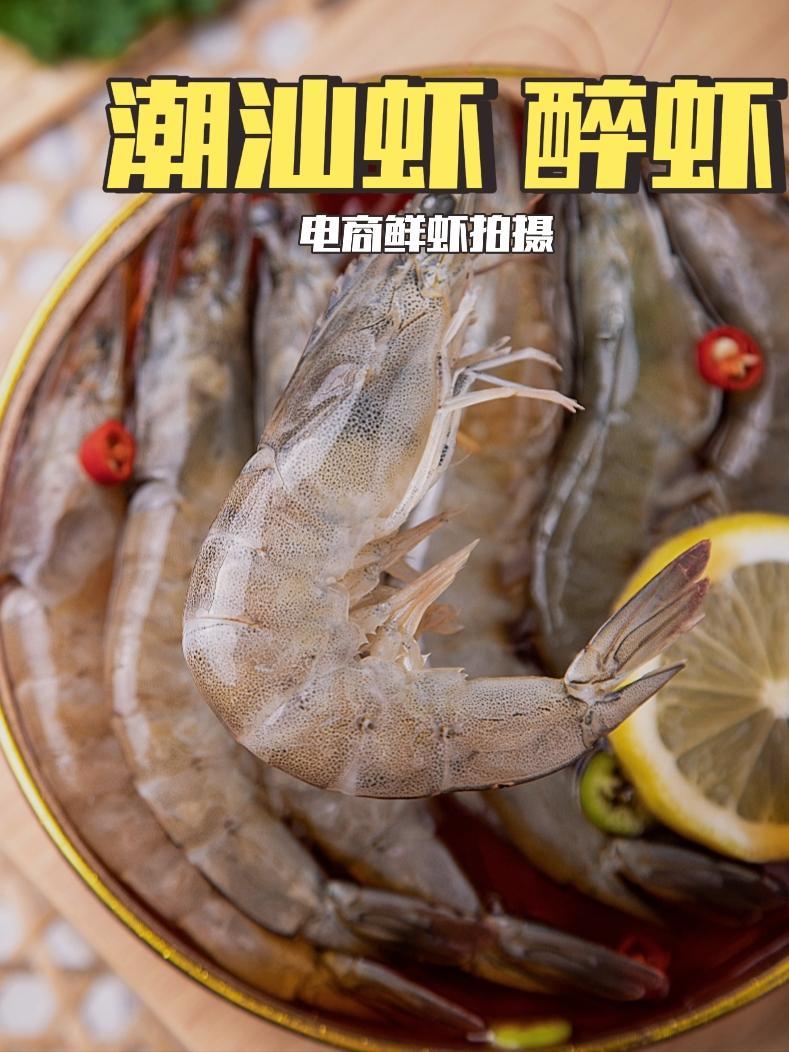 摄影大虾拍摄视频教程下载，技巧大全